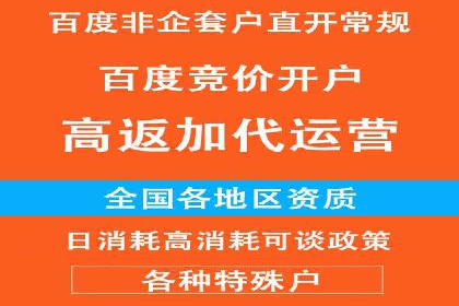 百度竞价SEM深度解析：某行业成功推广经验